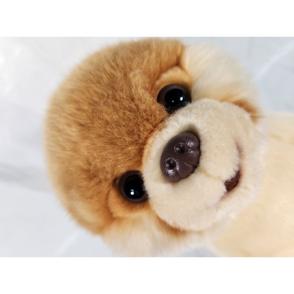 Gund Boo Worlds Cutest Dog Pomeranian Puppy Dog Stuffed Animal Plush Toy 10"